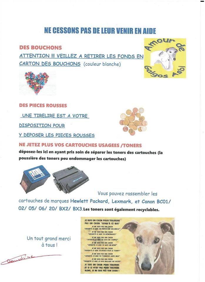 Galgos Affiche 2019