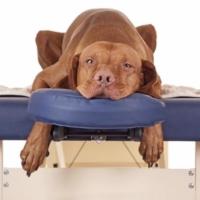 banc de massage