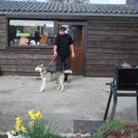 accueil salon entrée husky