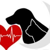 logo pause canine